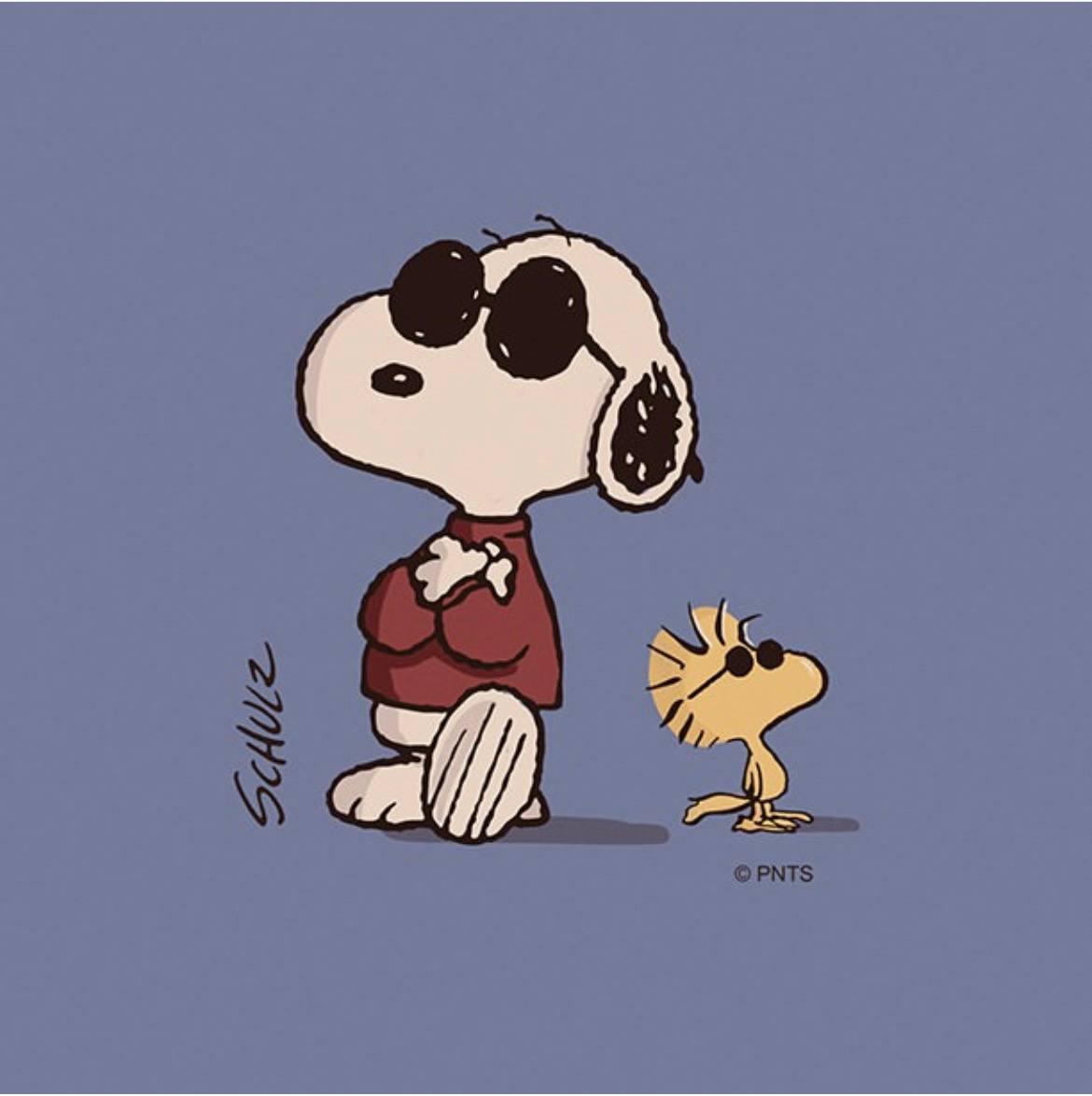 a young boy wearing a red shirt with blue overalls