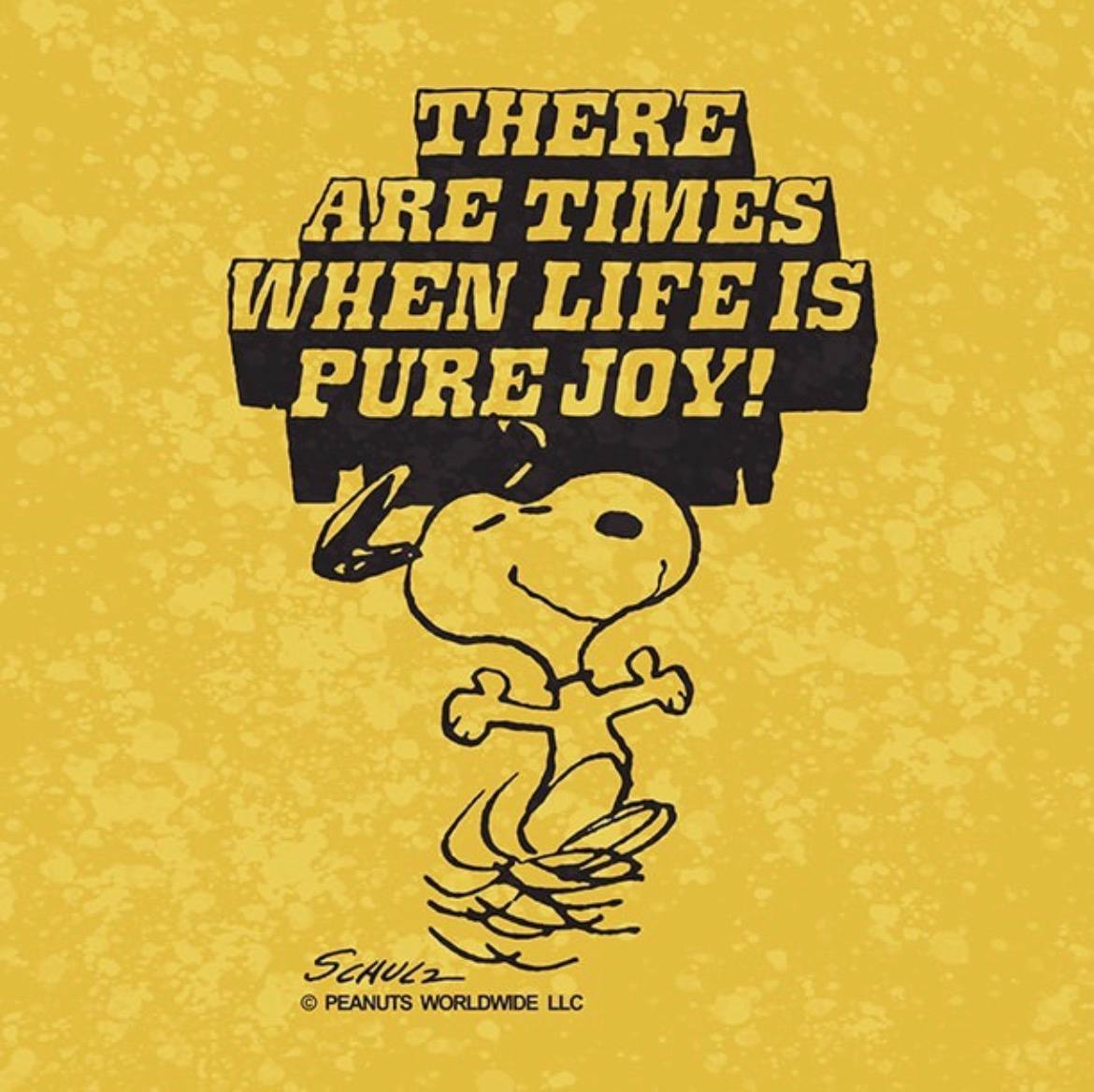 A boy wearing brown overalls surrounding in a cloud of dust