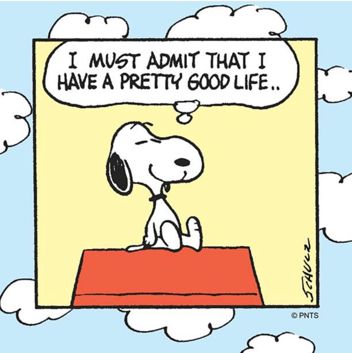 A girl with short brown hair wearing a green shirt and sandals holding a football