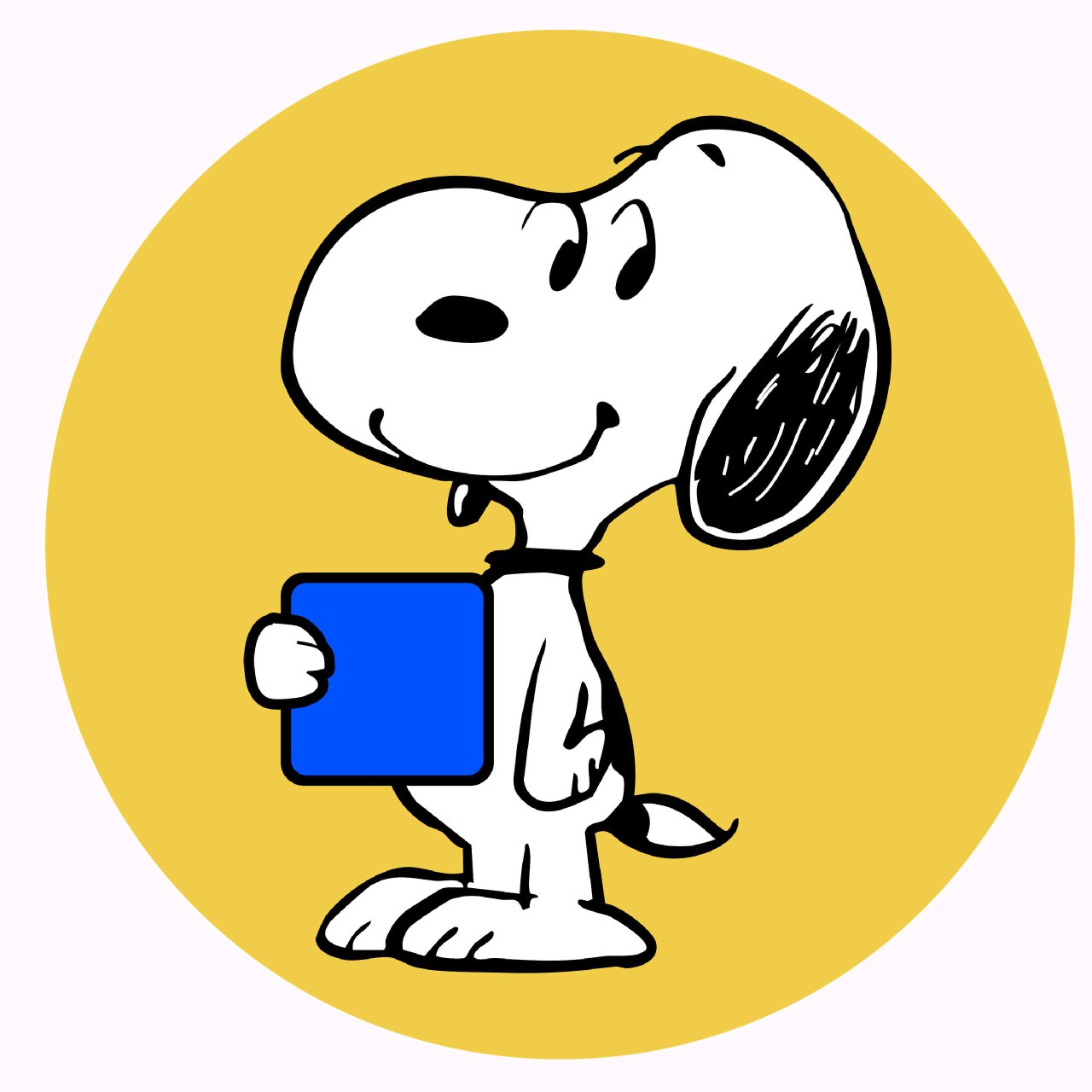 A black and white dog wearing a red collar